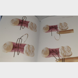 The Art of Dental Suturing - A Clinical Guide